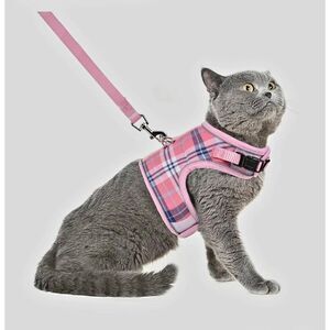 NWT PUPTEK CATS LEASH AND HARNESS SET